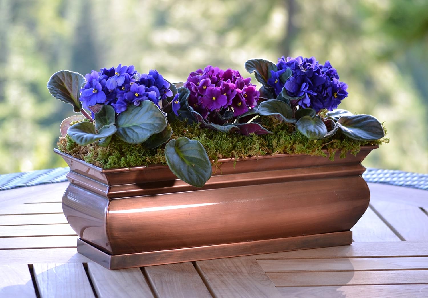 Herb Planter Pots Succulent Window Box Rectangular Indoor Outdoor J5597