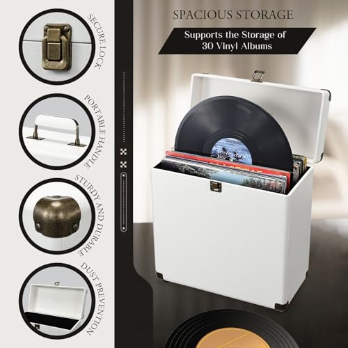 Vinyl Record Storage Box Holds 30 Albums T146