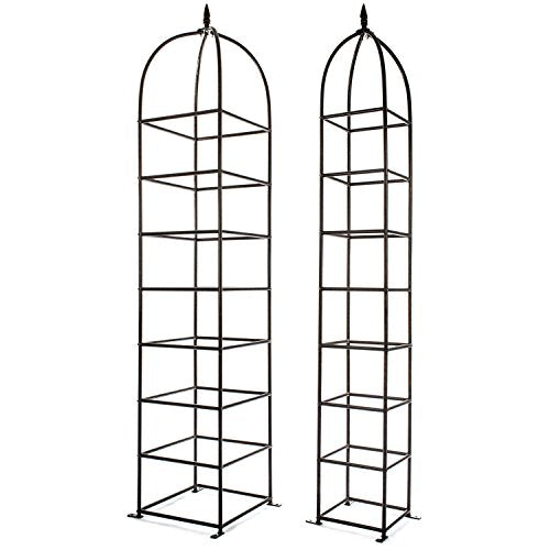 Trellis Obelisk for Climbing Plants, Weather Resistant Iron and Metal E70477
