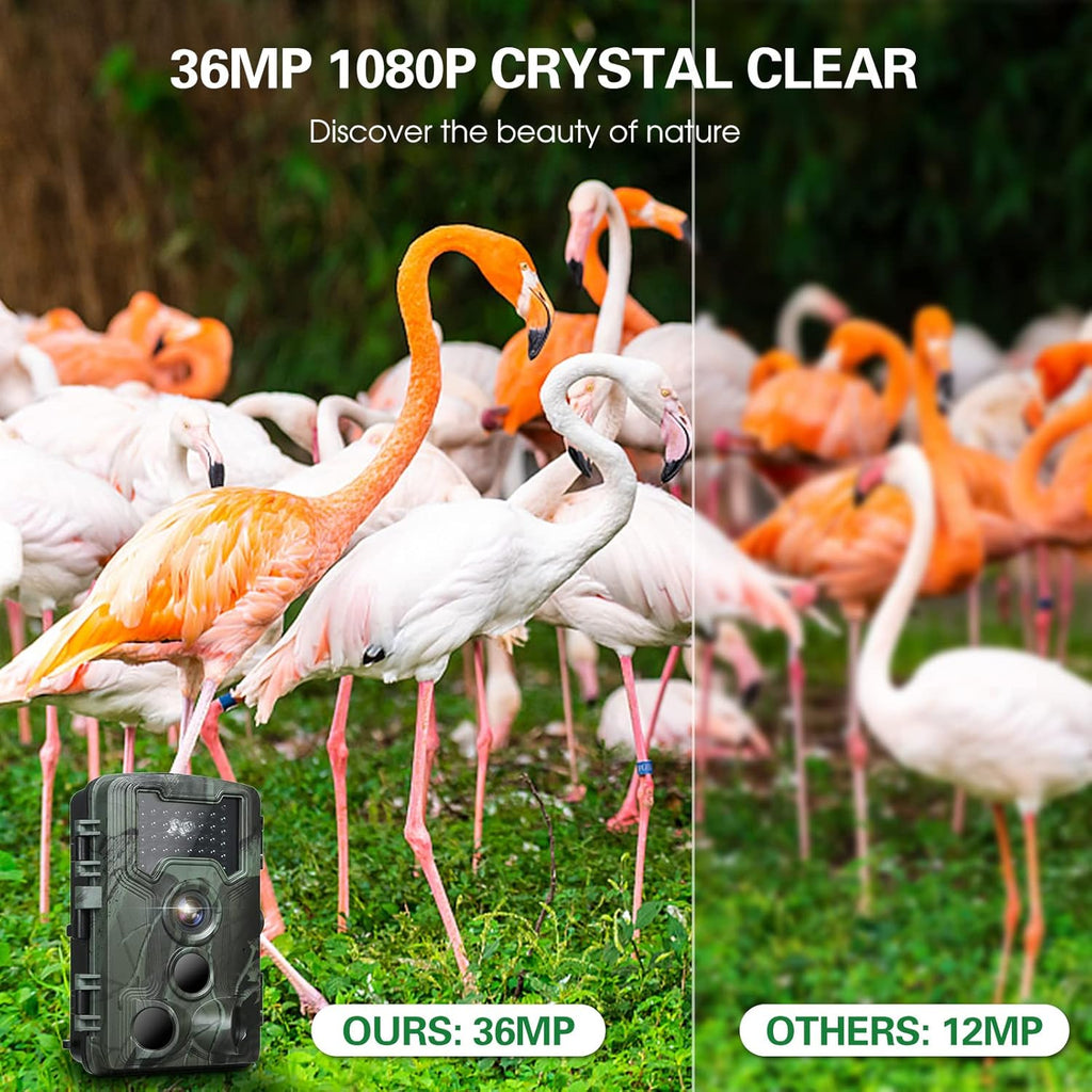 36MP 1080P Trail Camera with Night Vision and Motion Activation U53280