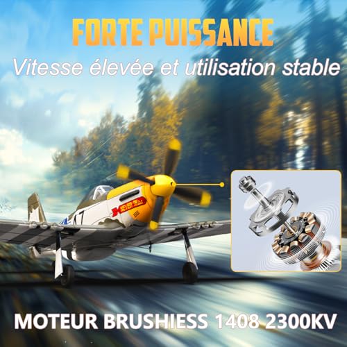 3 Channel RC Plane P-51D Mustang, Remote Control Airplane Ready to Fly, 2.4GHz 6-axis Gyro Stabilizer, Easy to Fly for Kids & Beginners G5520