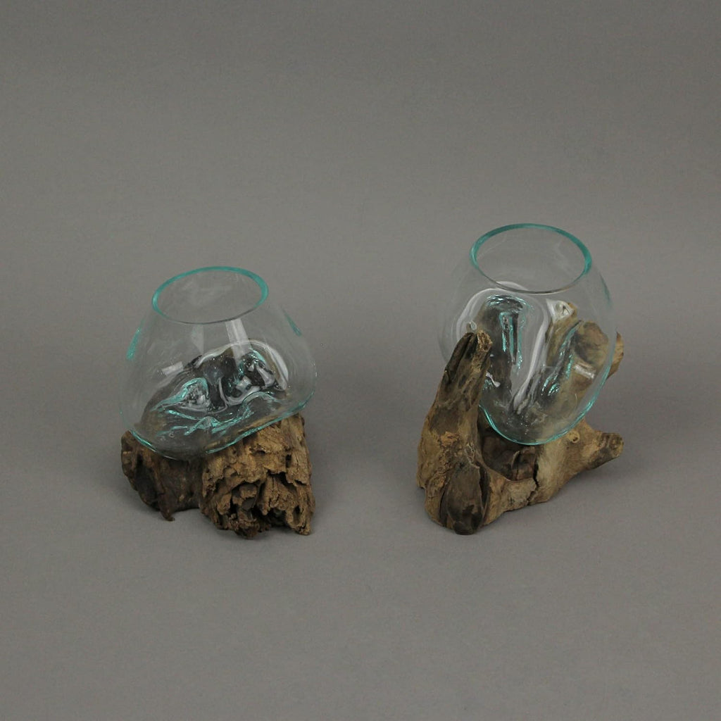 Set of 2 Glass and Teak Driftwood Decorative Bowls, Vases, and Terrarium Planters W9717