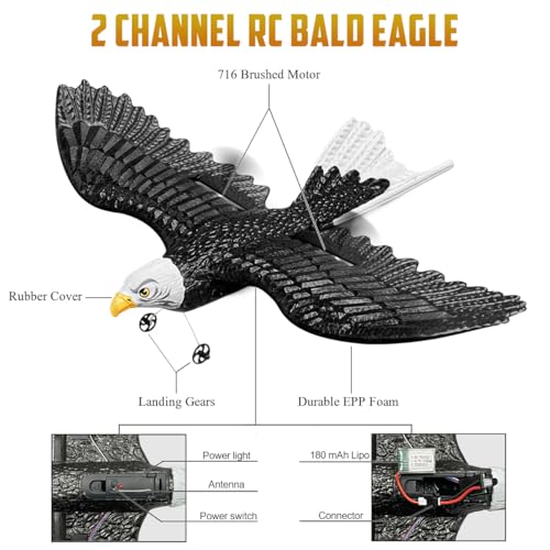 RC Eagle 2CH Remote Control Airplane for Kids & Beginners D1811