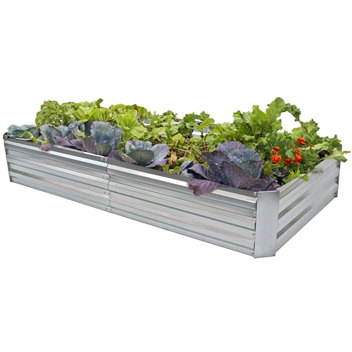 Galvanized Steel Rectangular Raised Garden Bed for Flowers, Plants, and Vegetables H772933