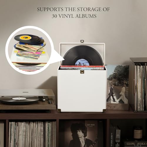 Vinyl Record Storage Box Holds 30 Albums T146