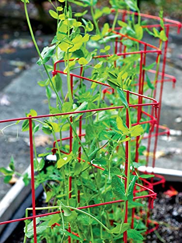 Expandable Tall Pea Trellis for Climbing Plants, Steel Garden Support, 9'8" L x 37" H H309