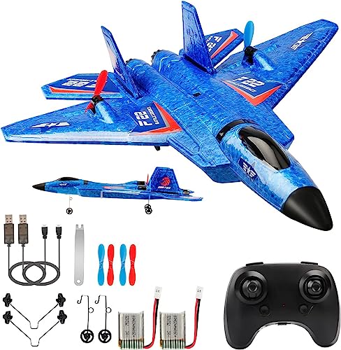 F22 RC Airplane Fighter, 2.4Ghz 2 Channel Remote Control Plane for Kids Beginners Y282