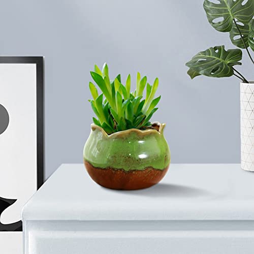 Ceramic Mini Plant Pots with Drainage for Succulents T869