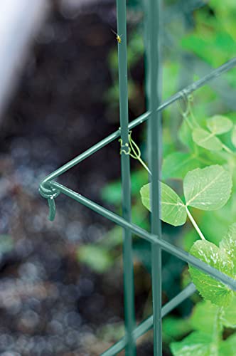 Expandable Tall Pea Trellis for Climbing Plants, Steel Garden Support, 9'8" L x 37" H H309