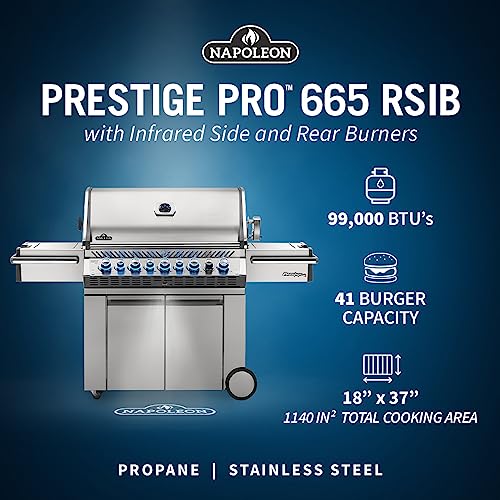 Propane Gas Grill, 500 sq. in. Stainless Steel with Infrared Burners Z95496