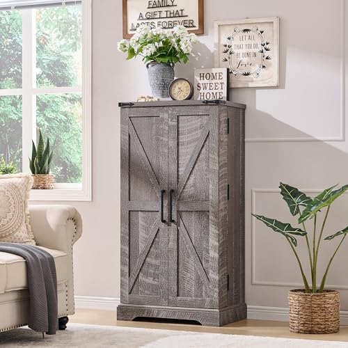 Farmhouse Storage Cabinet with Barn Doors and Adjustable Shelves X3170