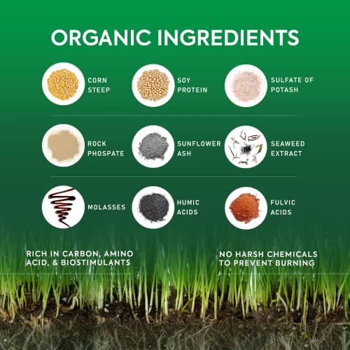 Organic Lawn Fertilizer for Color and Sustained Growth, 32 oz. P6208