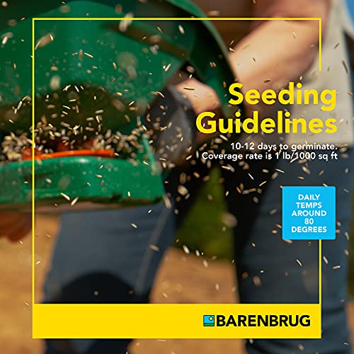 Bermudagrass Grass Seed for Sunny Areas and Humid Climates, 25 LB Bag X29095