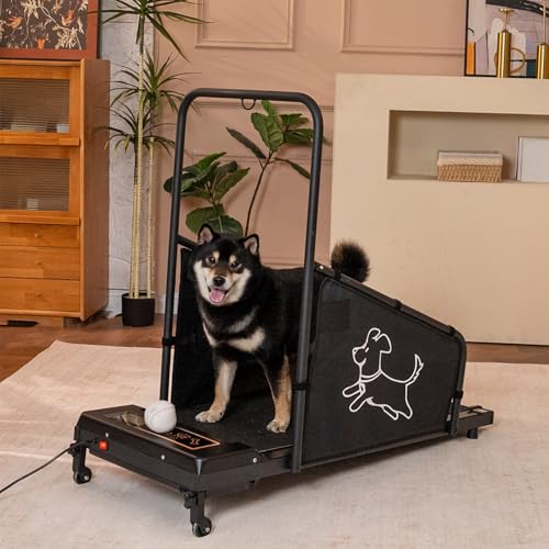 Dog Treadmill for Small and Medium Dogs with Remote Control and LCD Display H10038