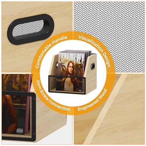 Vinyl Record Storage Box, Holds up to 60 Records V34365