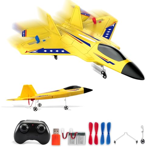F22 RC Airplane Fighter, 2.4Ghz 2 Channel Remote Control Plane for Kids Beginners Y282
