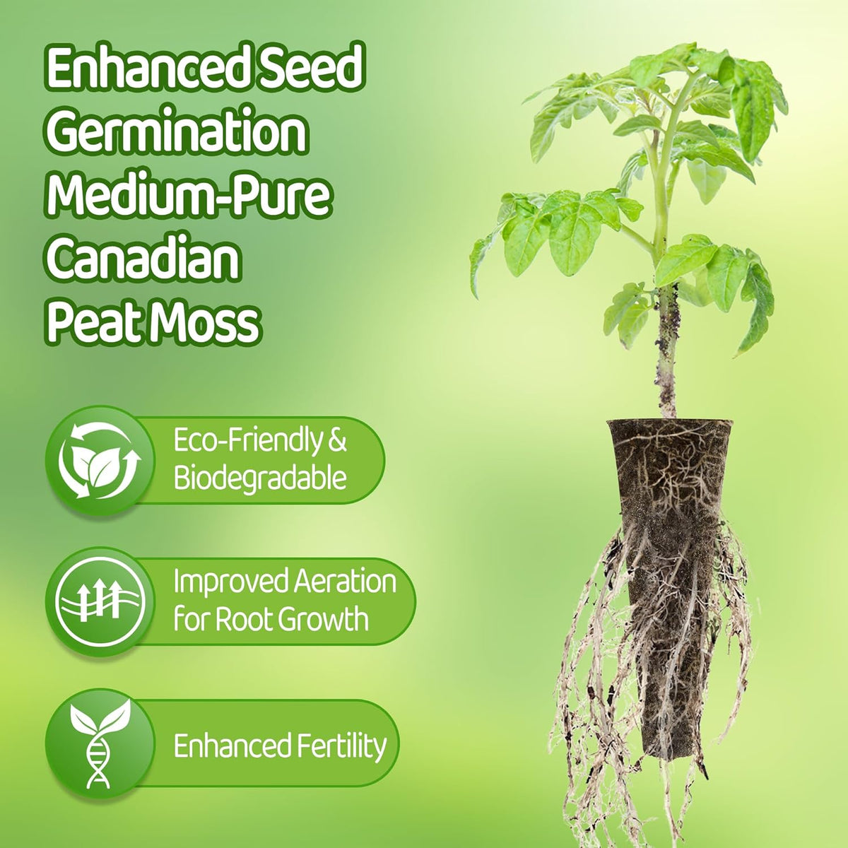 Seed Starter Pods Kit with Grow Sponges, Labels, Tweezers & Tags for Hydroponics Systems W3017