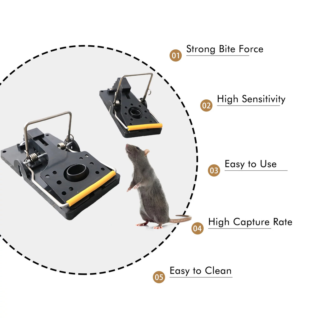 Small Snap Traps for Mice, 3.86" x 1.81", Pack of 12 G5662