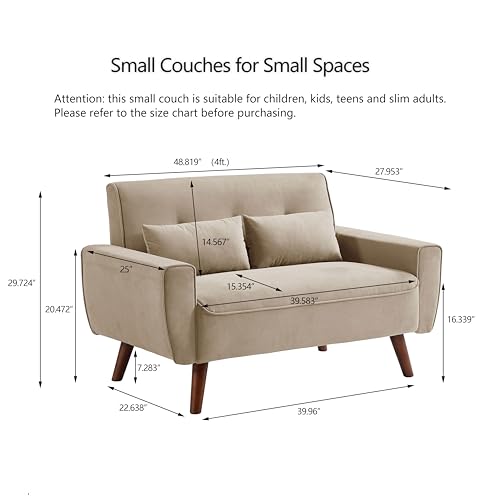 Mid Century Modern Loveseat Sofa with Wood Legs Z78752
