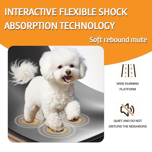 Dog Treadmill for Small and Medium Dogs with Remote Control and LCD Display H10038