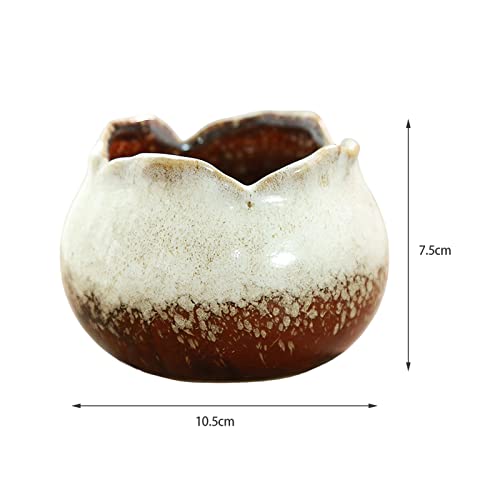 Ceramic Mini Plant Pots with Drainage for Succulents T869