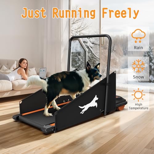 Dog Treadmill for Small and Medium Dogs with Remote Control and LCD Display H10038