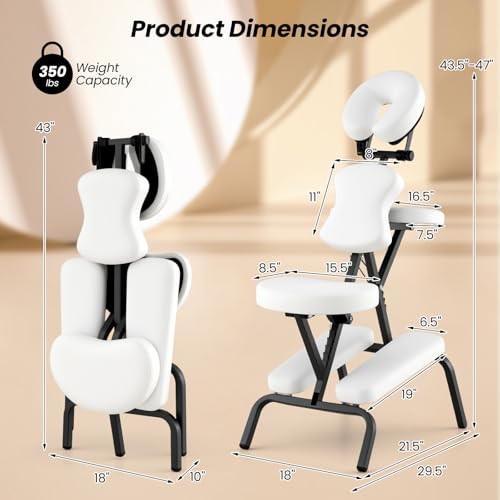 Portable Massage Chair with Carrying Bag X71829