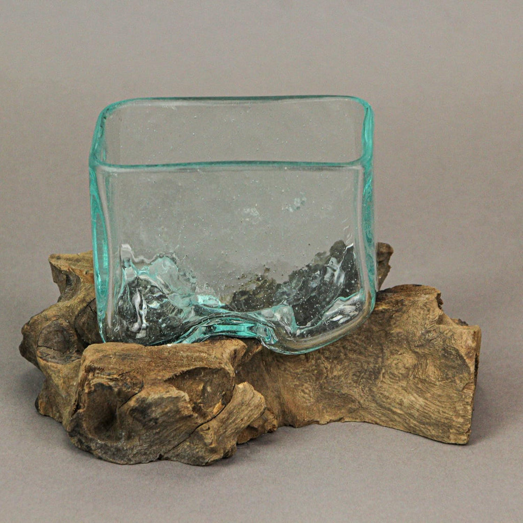 Glass Driftwood Decorative Bowl Vase Terrarium Planter Y130