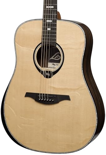 Dreadnought Bevel Gloss Acoustic Guitar F115