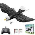HAWK'S WORK RC Eagle, 2 CH RC Plane Ready to Fly, 2.4GHz Remote Control Airplane, Easy to Fly RC Glider for Kids & Beginners