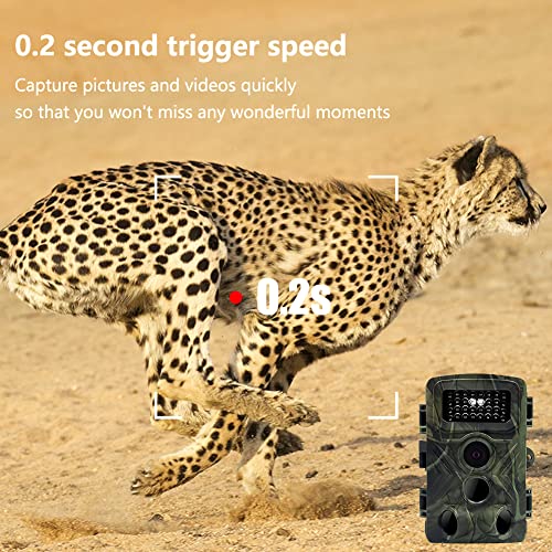 Mini Trail Camera 2-Pack, 36MP 1080P, Night Vision, Motion Activated C6718