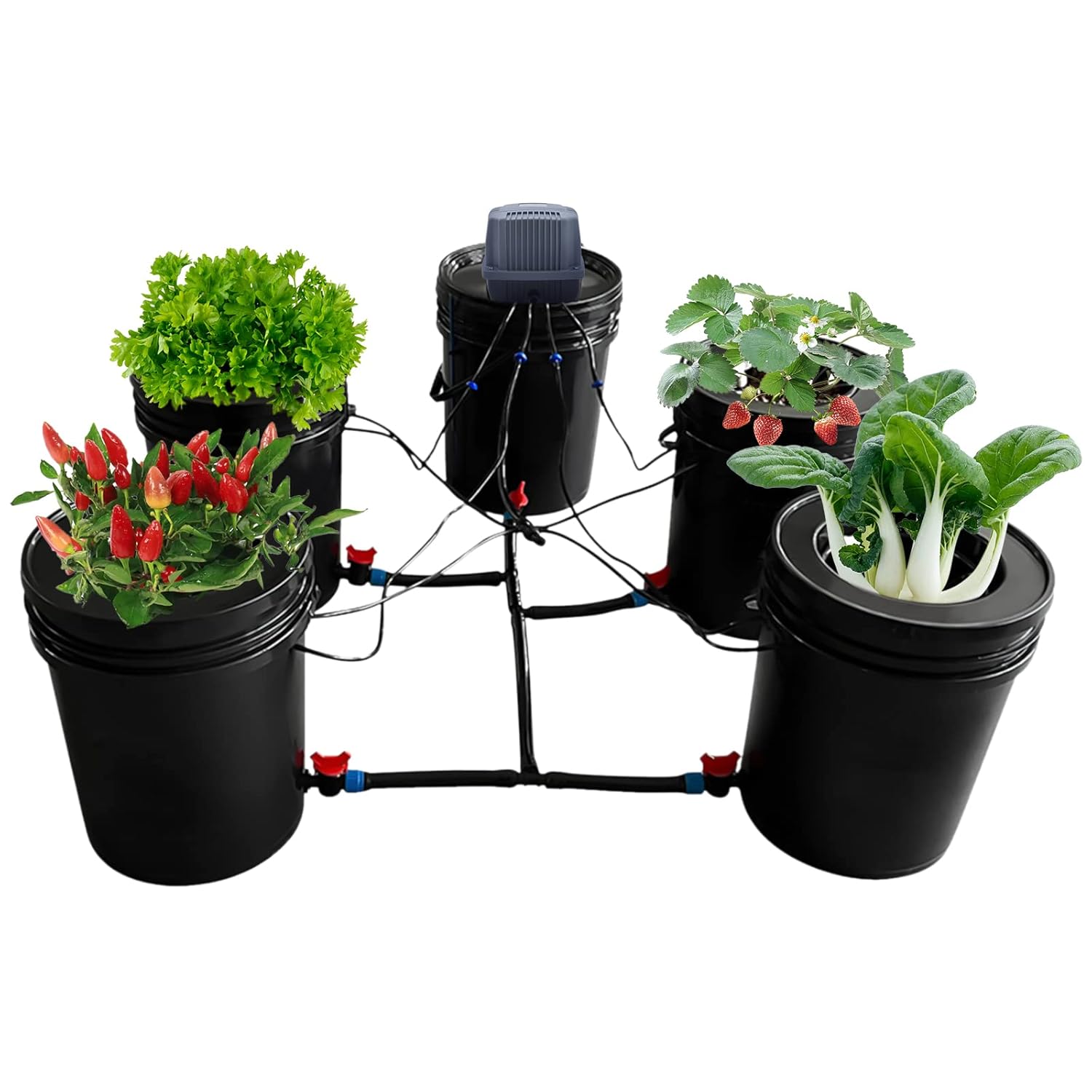 5-Gallon Deep Water Culture Hydroponics Grow System Kit with 5 Buckets, Recirculating Design, and Reservoir for Greenhouse and Indoor Growing – Ideal for Vegetables, Garden, and Balcony