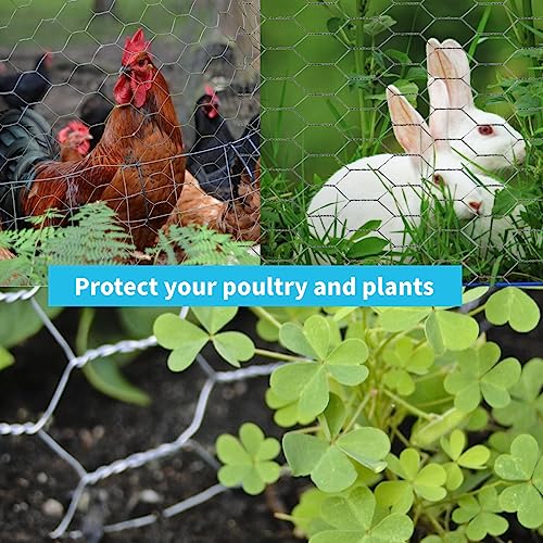 Chicken Wire Mesh for Garden, Poultry Netting, Rabbit Fence E720694
