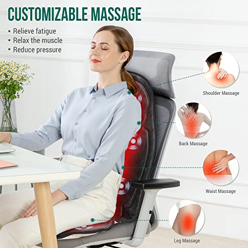 Vibration Back Massager with Heat, Seat Cushion N820