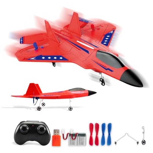 F22 RC Airplane Fighter, 2.4Ghz 2 Channel Remote Control Plane for Kids Beginners Y282