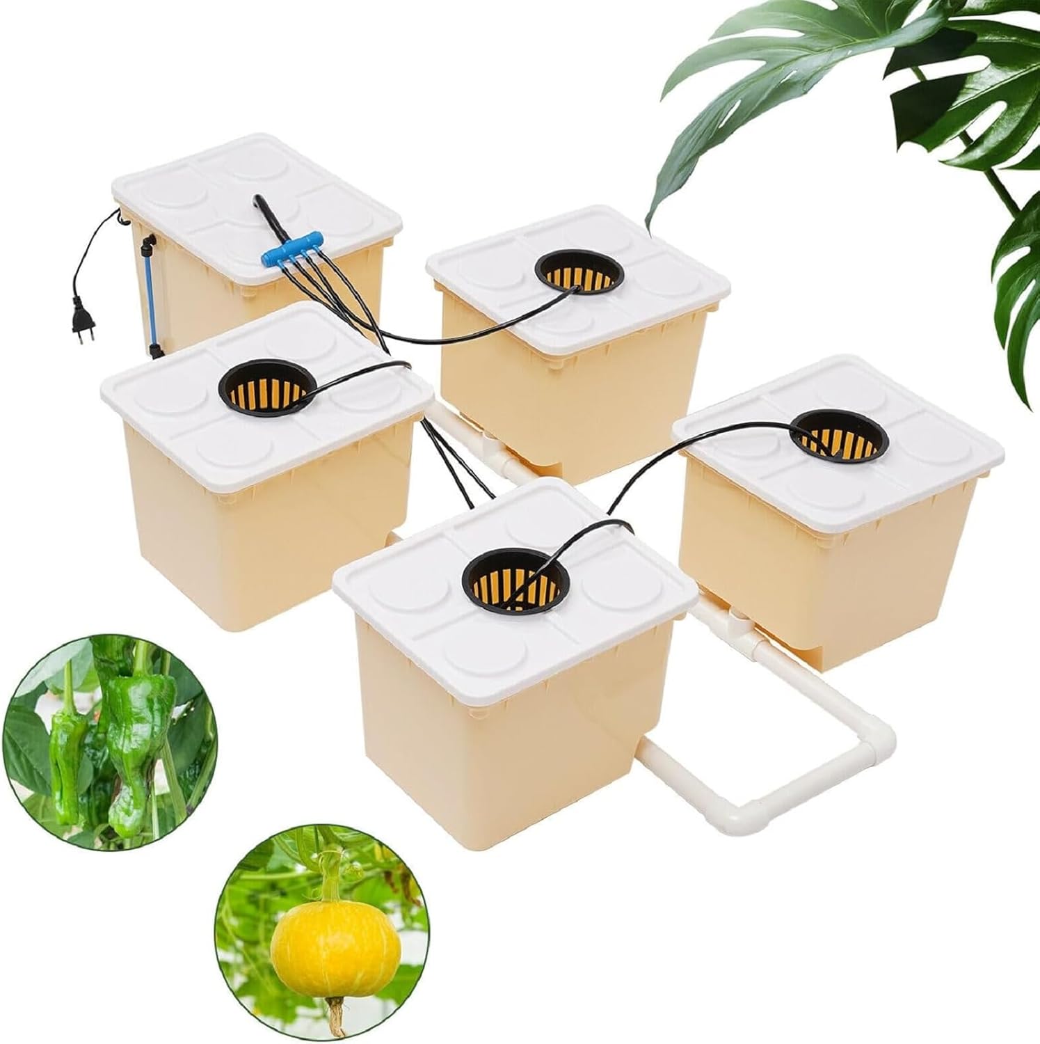 Hydroponics System, 2.91 Gallon Deep Water Culture Growing Kit with 5 Buckets C164223