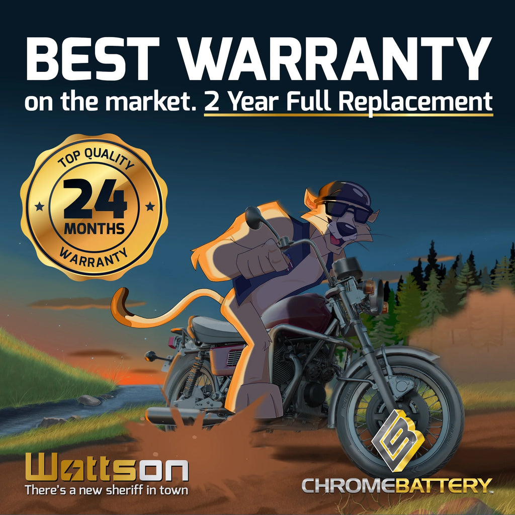 12V 20Ah 260 CCA Snowmobile Battery for Arctic Cat King Cat 900 2006 O294