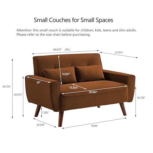 Mid Century Modern Loveseat Sofa with Wood Legs Z78752