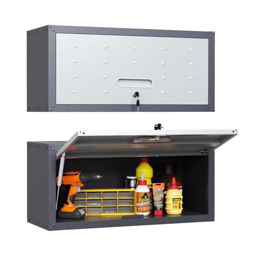 Wall Cabinet with 2 Doors, Lockable, Adjustable Shelves, Heavy Duty Steel J4545