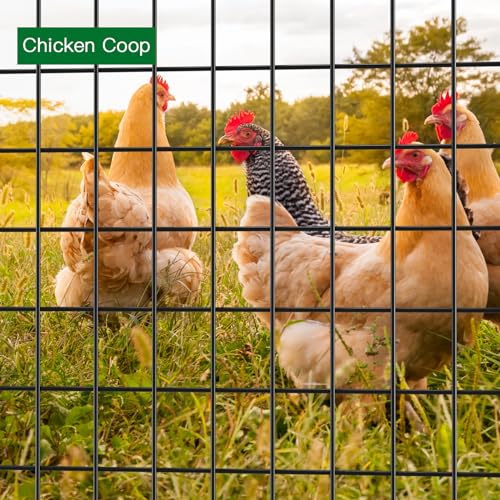 Black PVC Coated Welded Wire Fence 24in x 25ft Garden Border Fencing Roll T156