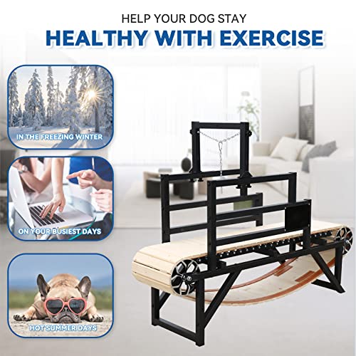 Dog Treadmill for Large and Medium Dogs T9735