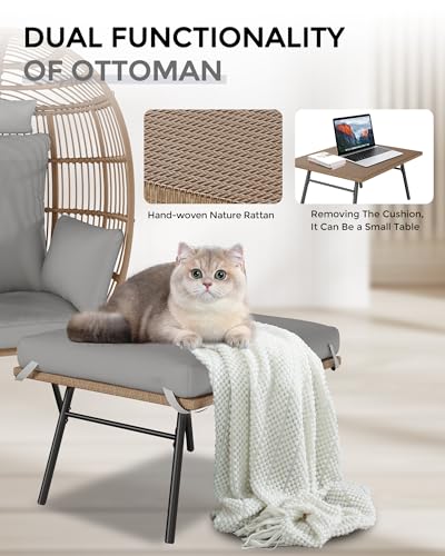 Wicker Egg Chair with Ottoman and Cushion I493229