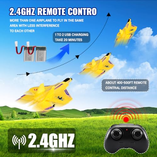 F22 RC Airplane Fighter, 2.4Ghz 2 Channel Remote Control Plane for Kids Beginners Y282