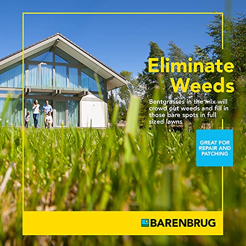 Bermudagrass Grass Seed for Sunny Areas and Humid Climates, 25 LB Bag X29095