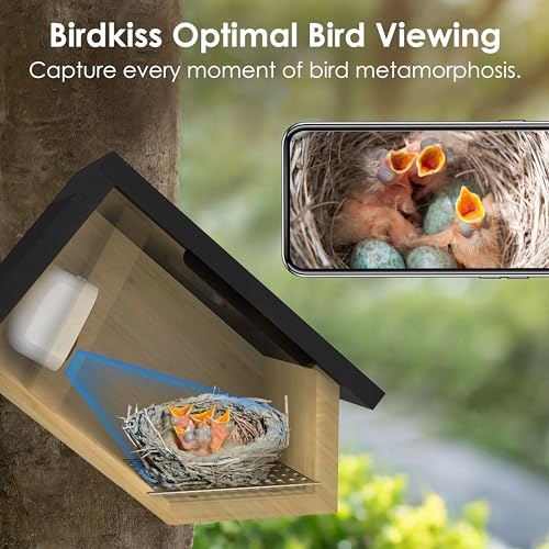 Solar Powered Bird House with HD Camera for Outdoor Viewing J875209