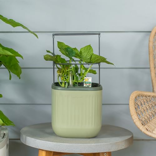 Vego Garden Mini Planter Indoor Pots with Trellis Self-Watering Herb Countertop Planter for Climbing Vegetables Flowers Mint Plants Cage- Sage Green