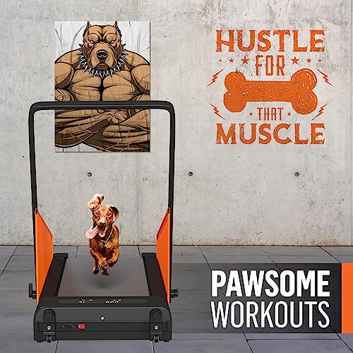 Dog Treadmill for Small and Medium Dogs U305595