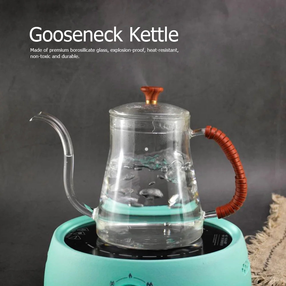 Glass Gooseneck Coffee Kettle 600ML A215257