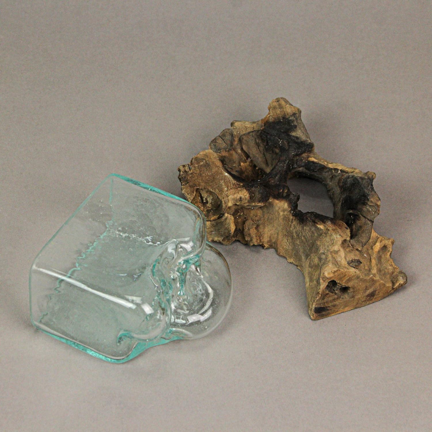 Glass Driftwood Decorative Bowl Vase Terrarium Planter Y130