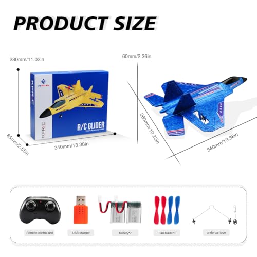 F22 RC Airplane Fighter, 2.4Ghz 2 Channel Remote Control Plane for Kids Beginners Y282